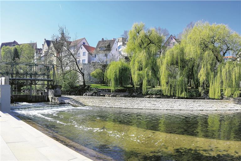 Das Wehr ist leergelaufen, der Wasserpegel auffallend niedrig: Die Murr an der Bleichwiese in Backnang bot vergangene Woche einen trockeneren Anblick als sonst um diese Zeit. Fotos: A. Becher