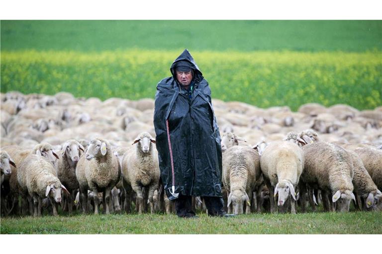 Das Wetter im Südwesten bleibt am Wochenende unbeständig.