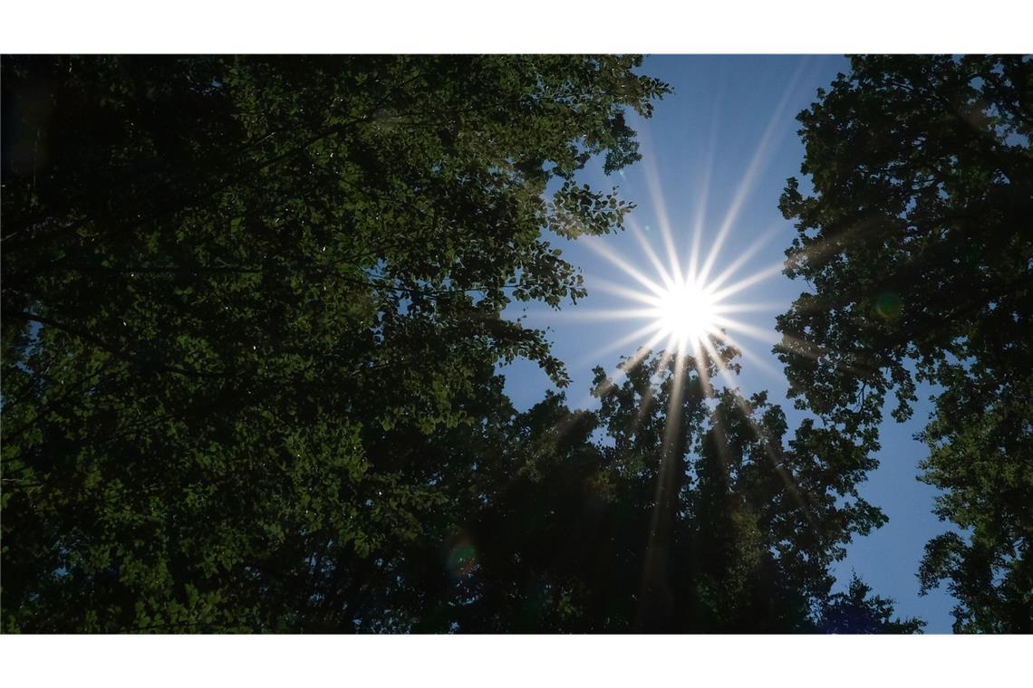 So wird das Wetter am Wochenende Das Wetter zeigt sich in Baden-Württemberg am Wochenende von seiner sonnigen Seite.