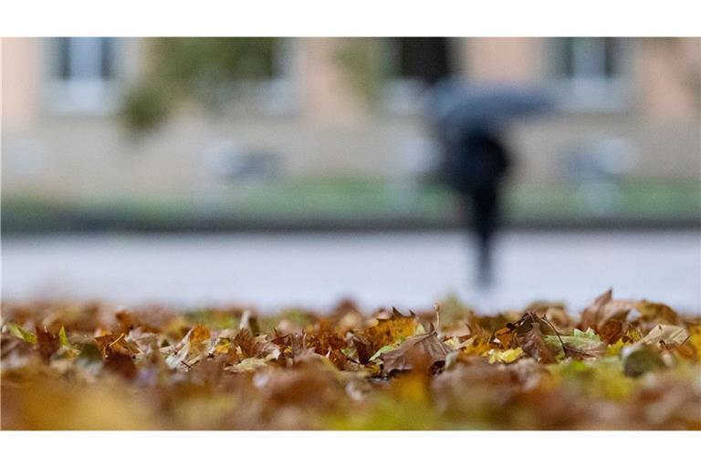 Windig, nass, kalt: Der Südwesten im Herbstmodus Das Wetter zeigt sich in den kommenden Tagen von seiner ungemütlichen Seite. (Symbolbild)