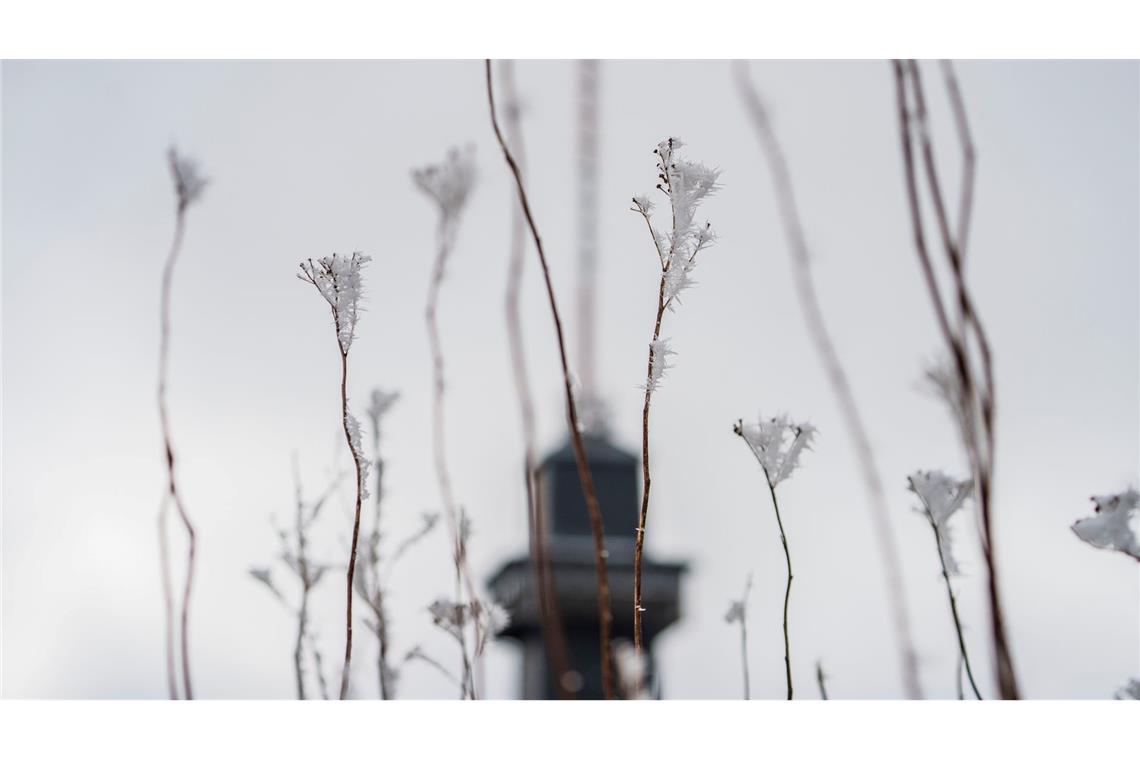 Das Wetter zum Wochenende wird wechselhaft.