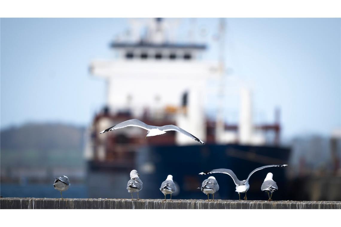 Das Wetter zum Wochenende wird wechselhaft.