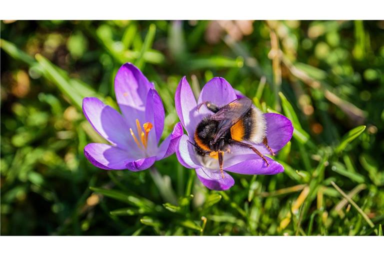 Das Wochenende bringt milde Temperaturen und viel Sonnenschein.