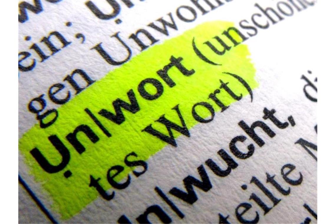 Das Wort „Unwort“ ist in einem Wörterbuch zu lesen. Foto: Stephan Jansen/dpa/Illustration