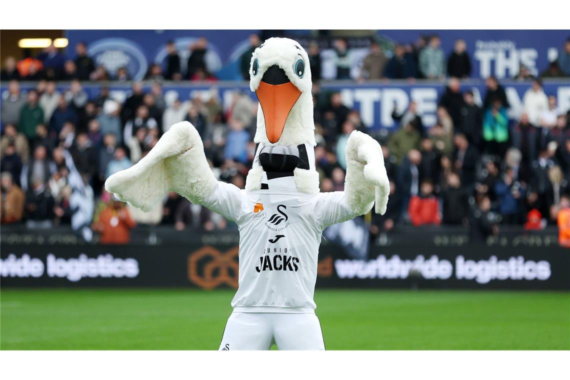 Dass Swansea City, Zweitligist aus Wales, einen Schwan als Maskottchen hat, ist angesichts des Namens der Stadt wenig überraschend. Dennoch mutet das Outfit doch etwas skurril an.
