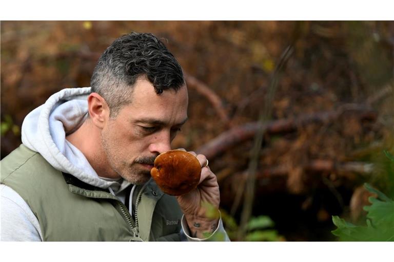 Trendhobby Pilzesammeln: Der Wald als "bullshitfreie Zone" Dem Influencer folgen auf Instagram Tausende.
