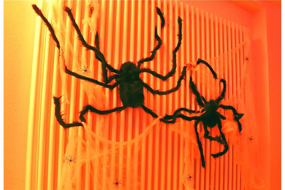 Dem Motto entsprechend ist die Gemeindehalle dekoriert. CLOUDSEVEN HALLOWEEN-Par...