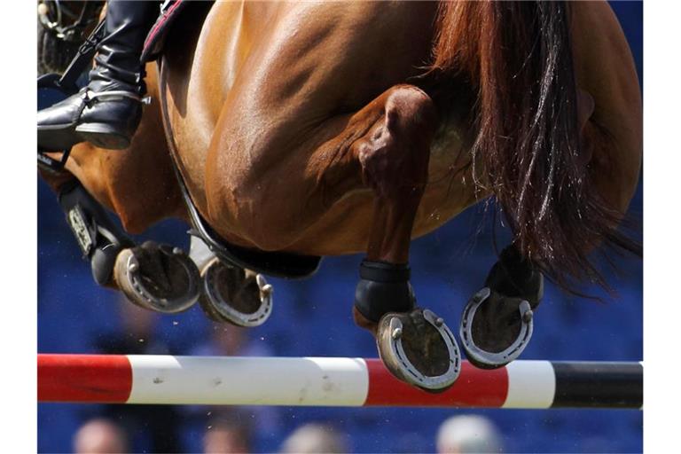 Dem Weltklasse-Springreiter Ludger Beerbaum wird Tierquälerei vorgeworfen. Foto: picture alliance / dpa