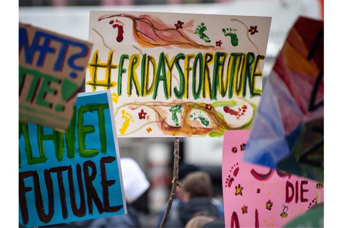 Demonstranten halten während einer Demonstration gegen den Klimawandel Schilder in der Hand. Foto: Sebastian Gollnow/dpa/Symbolbild