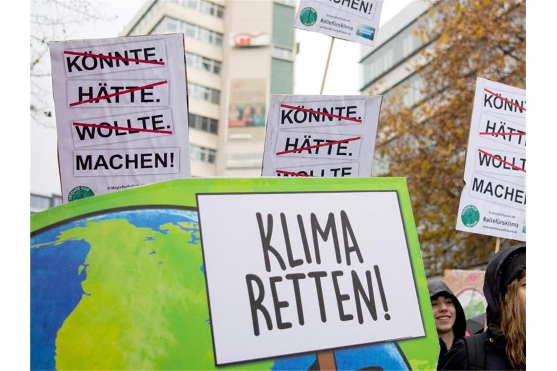 Demonstranten von Fridays for Future laufen auf einer Straße. Foto: Tom Weller/dpa/Archivbild