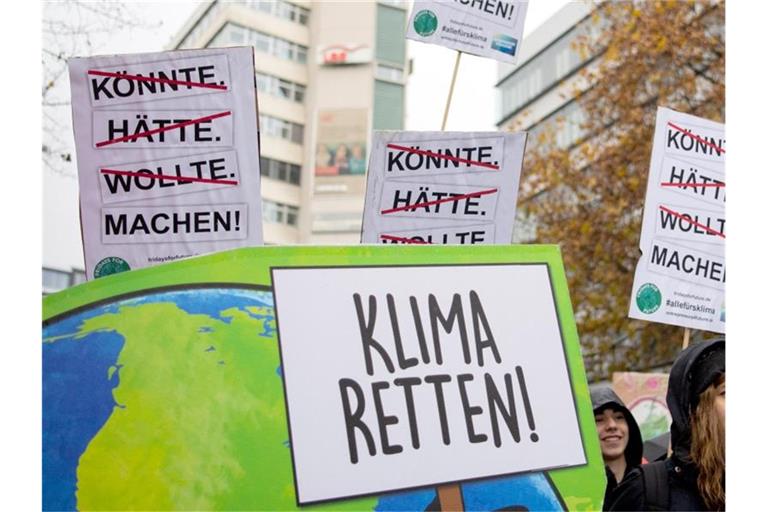 Demonstranten von Fridays for Future laufen auf einer Straße. Foto: Tom Weller/dpa/Archivbild