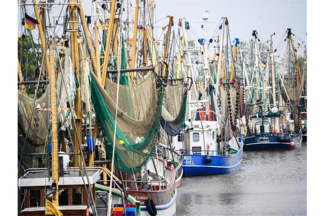 Den Krabbenfischern an der deutschen Nordsee brechen wegen der Corona-Pandemie die Einnahmen weg. Foto: Mohssen Assanimoghaddam/dpa