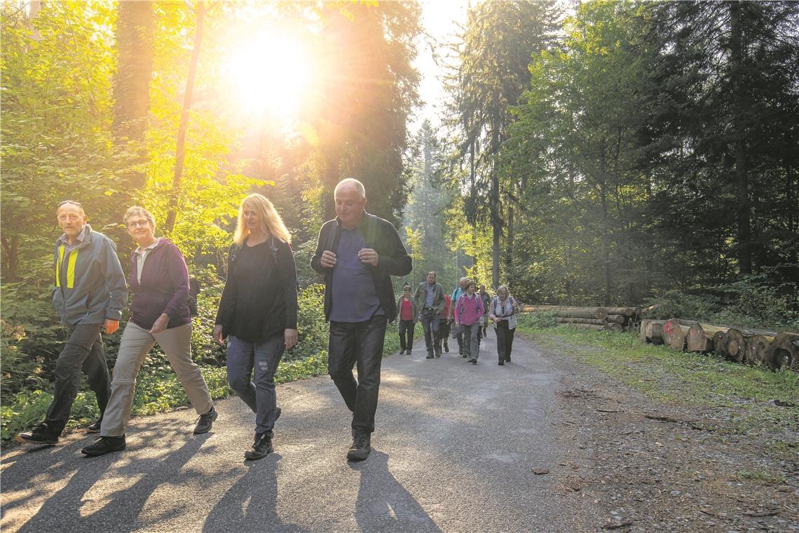 Passende Erlebnisse für jeden Waldtyp Den Wald fühlen, hören, erleben: Eine geführte Wanderung im Fischbachtal bot dafür die ideale Gelegenheit.