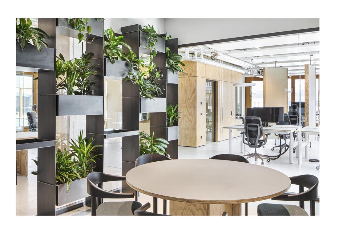 Der 1. Preis ging unter anderem an das Architekturbüro Henning Larsen Architects für die Gestaltung der Bürofusion des eigenen Unternehmens mit der Firma Ramboll. Standort ist München. Meetingarea und Arbeitstischflächen werden mit gliedernd eingesetztem Planzengrün kombiniert.