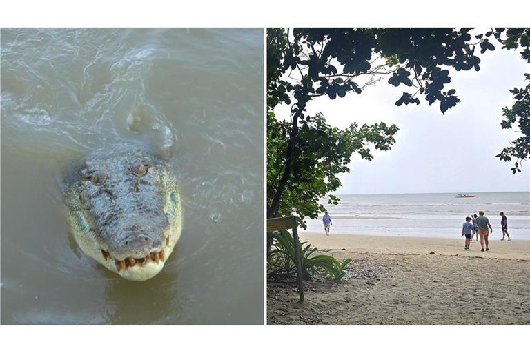 Krokodil greift Teenager beim Angeln an und verletzt ihn Der 14-Jährige wurde beim Angeln am Myall Beach von dem Krokodil angegriffen (links Symbolbild, rechts Archivbild).