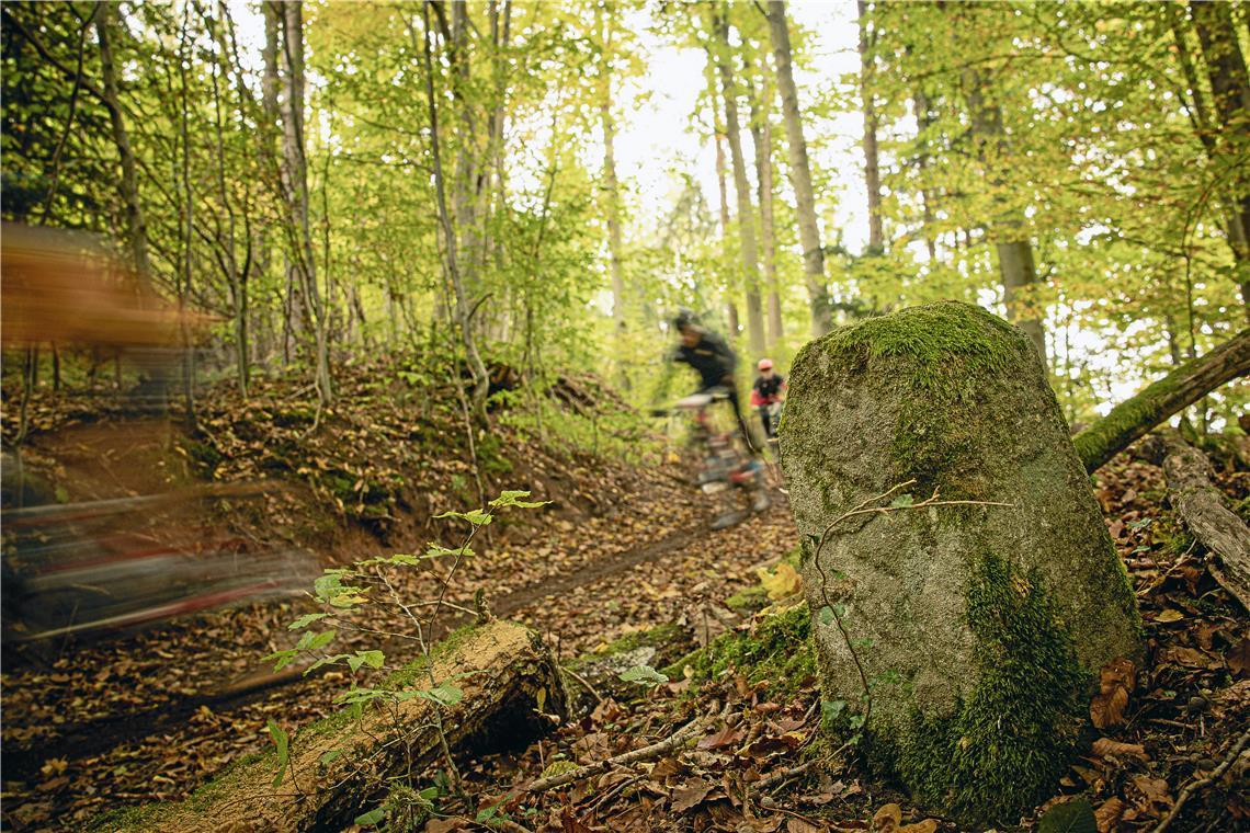 Der 18. Lautertal-Bikemarathon führt durch den Herbstwald rund um Spiegelberg un...