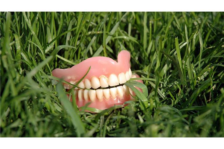 Der 60-Jährige verlor sein Gebiss in einem Garten, in dem er randaliert und Gegenstände beschädigt hatte. (Symbolfoto)