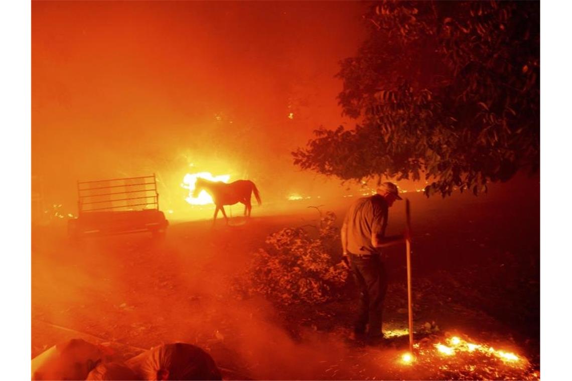 Der 84-Jährige Bill Nichols versucht in Vacaville, sein Haus vor den Flammen zu retten. Foto: Noah Berger/AP/dpa