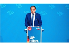 Der AfD-Vorsitzende Tino Chrupalla  (Archivbild)