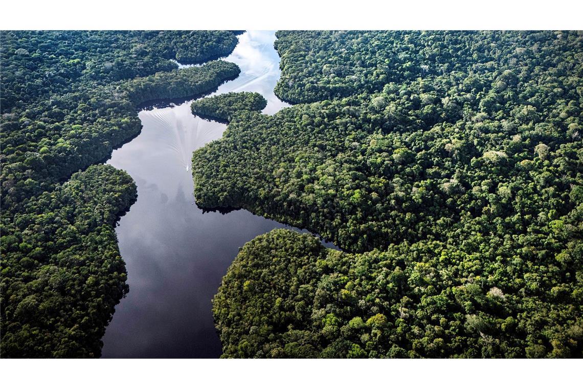 Der Amazonas: extrem wichtig fürs Klima, aber enorm unter Stress. (Archivbild)