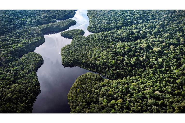 Der Amazonas: extrem wichtig fürs Klima, aber enorm unter Stress. (Archivbild)