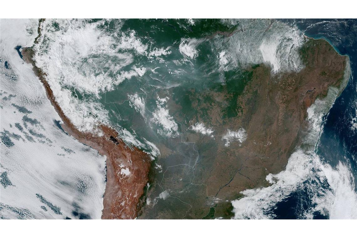 Der Amazonas-Regenwald auf einem Satelittenfoto der US-Raumfahrtgebörde Nasa.