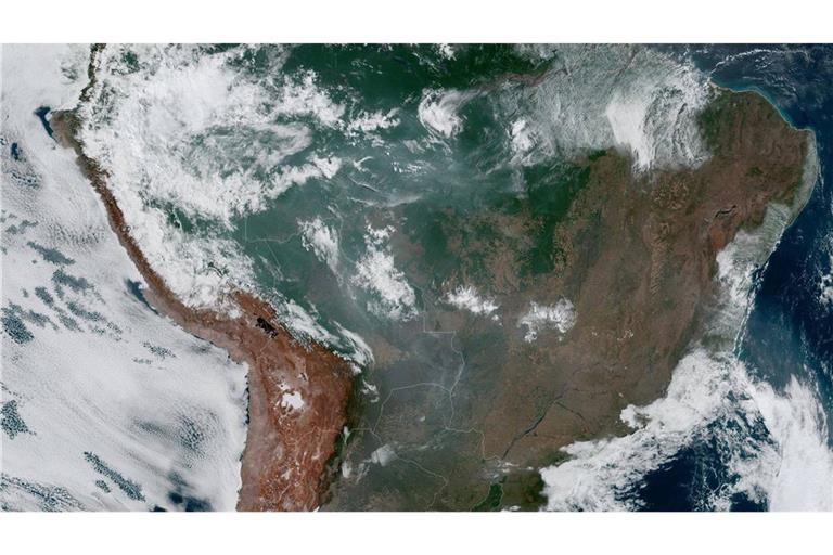 Der Amazonas-Regenwald auf einem Satelittenfoto der US-Raumfahrtgebörde Nasa.