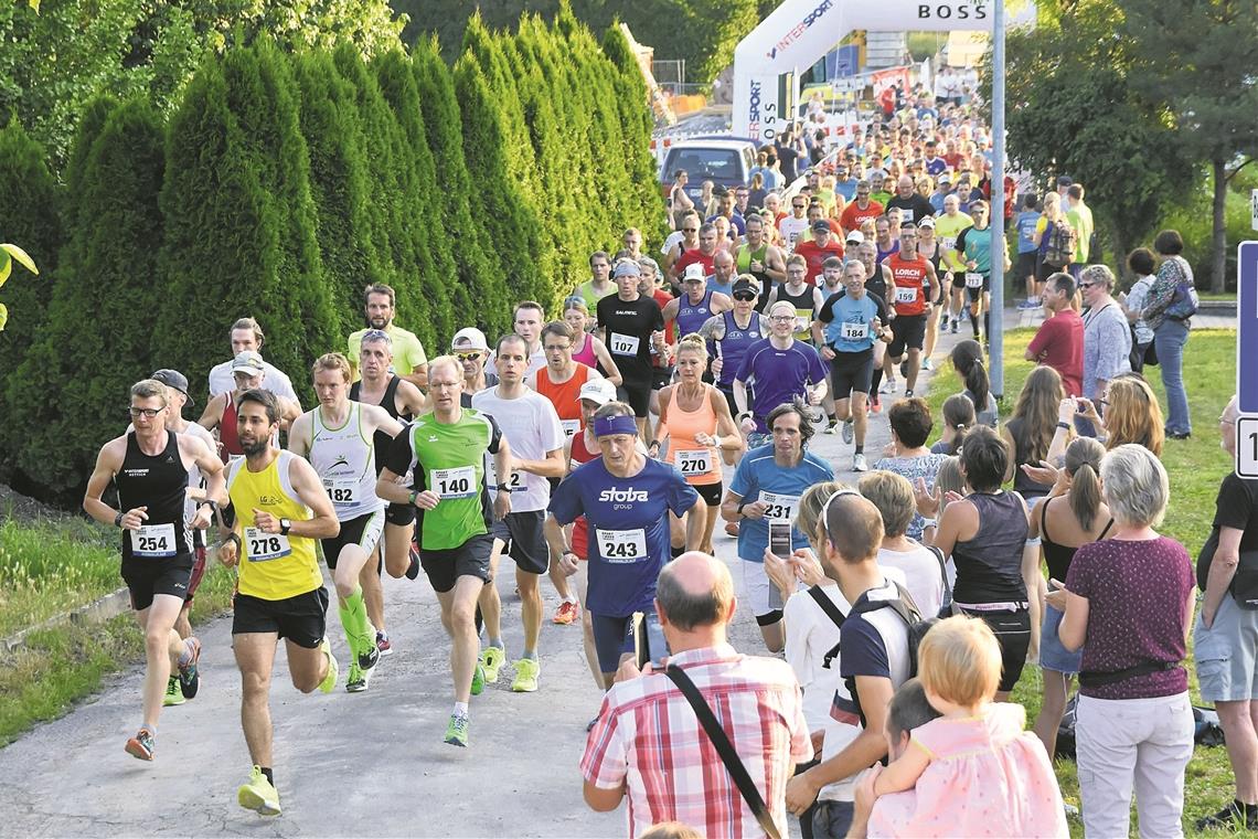 Auenwaldlauf fällt aus, Neuhütten und Aspach hoffen Der Auenwaldlauf findet in diesem Jahr nicht statt. Foto: T. Sellmaier