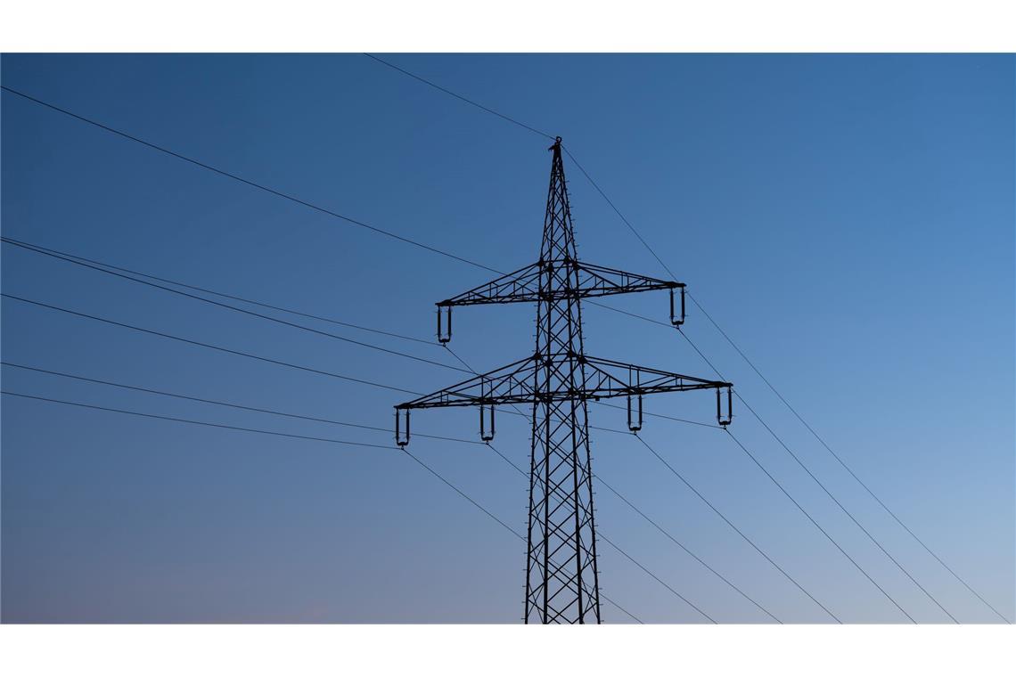 Wie kommt die Stromkosten-Entlastung bei den Kunden an? Der Ausbau der Stromnetze kostet viel Geld.