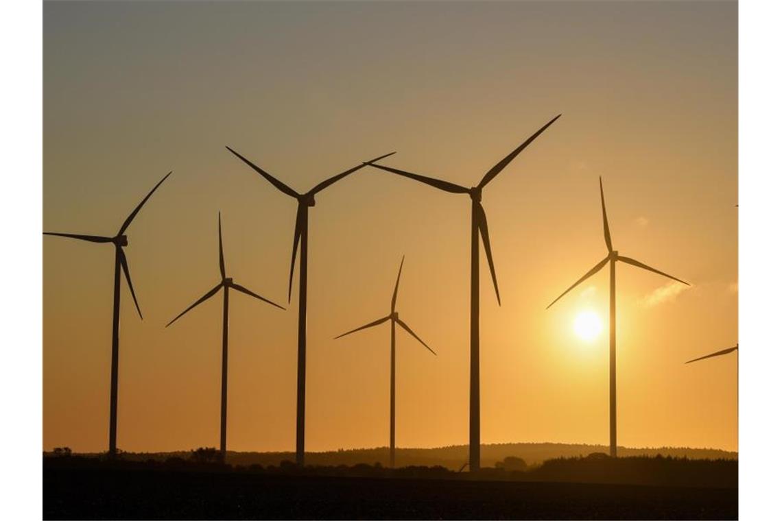 Der Ausbau der Windenergie an Land ist eingebrochen. Foto: Patrick Pleul/zb/dpa