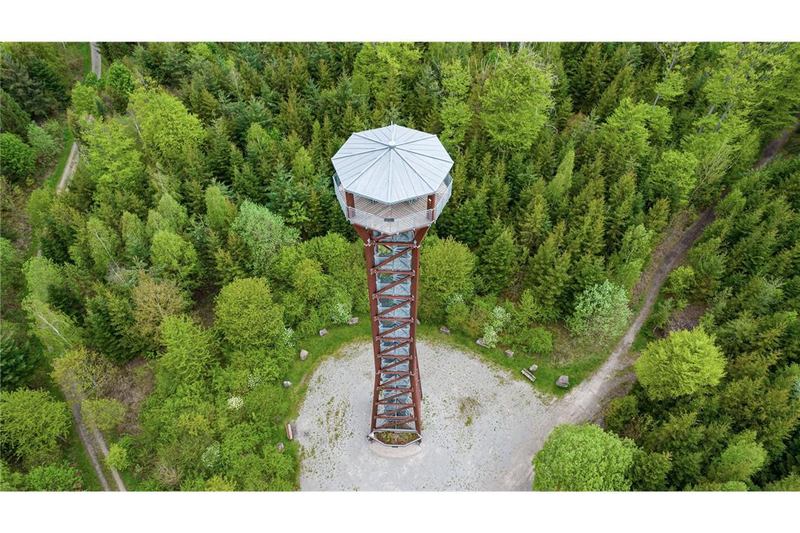 Aussichtsturm bei Pforzheim laut Gutachten einsturzgefährdet Der Aussichtsturm liegt mitten im Wald und ist 40 Meter hoch.
