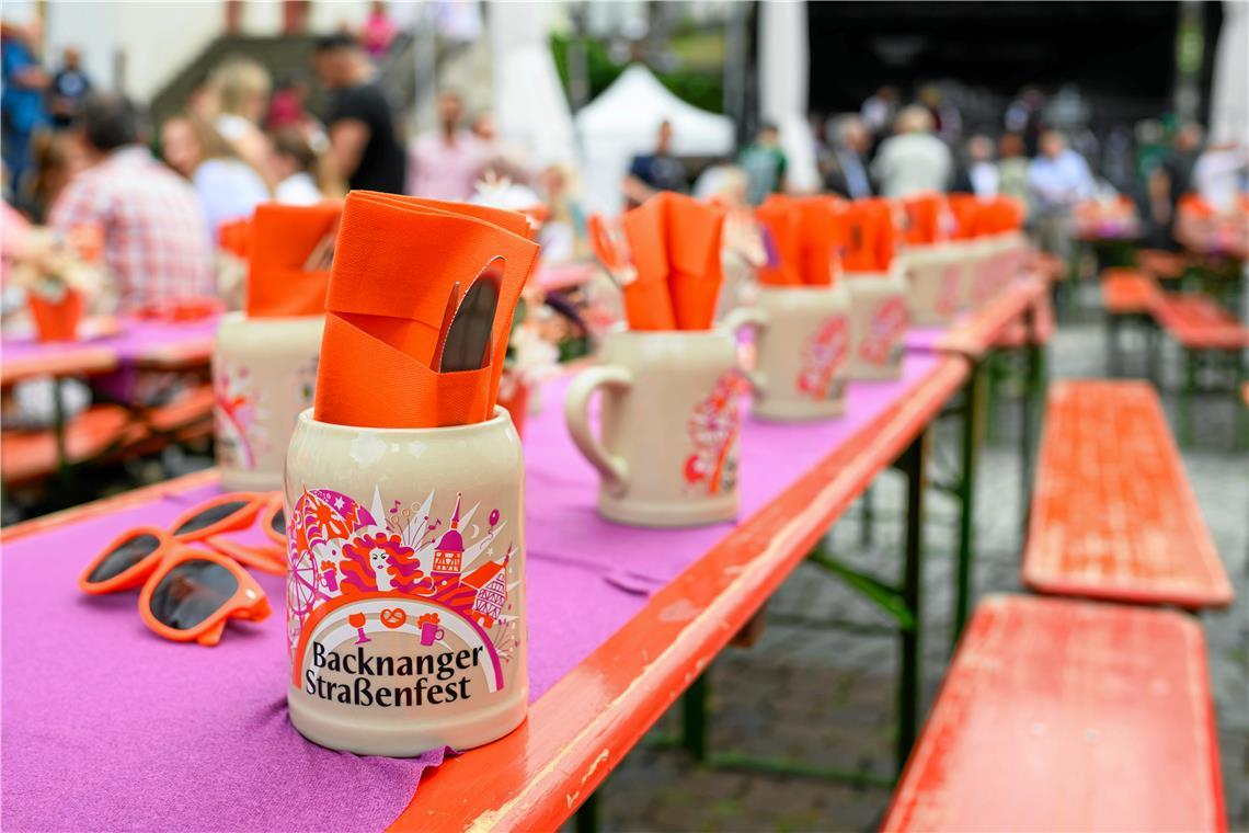 •Der Backnanger Straßenfest-Bierkrug ist ein beliebtes Sammlerstück. Archicfoto: Stephan Haase