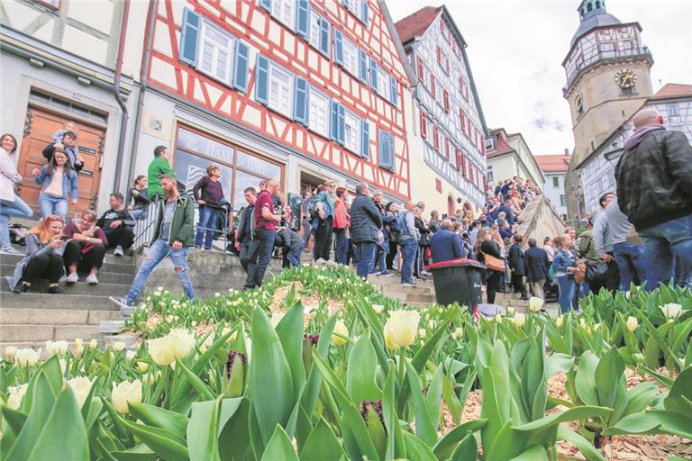 Der Backnanger Tulpenfrühling fällt in diesem Jahr aus. Archivfoto: A. Becher