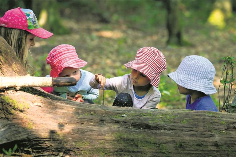 Der Backnanger Waldkindergarten – hier ein Foto aus dem Sommer – ist bei den Eltern sehr beliebt. Deshalb wird im kommenden Jahr eine zweite Gruppe eingerichtet.Archivfoto: A. Becher