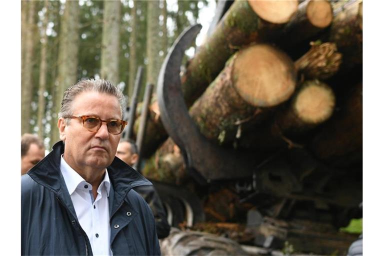 Der baden-württembergische Forstminister Peter Hauk (CDU). Foto: Patrick Seeger/dpa