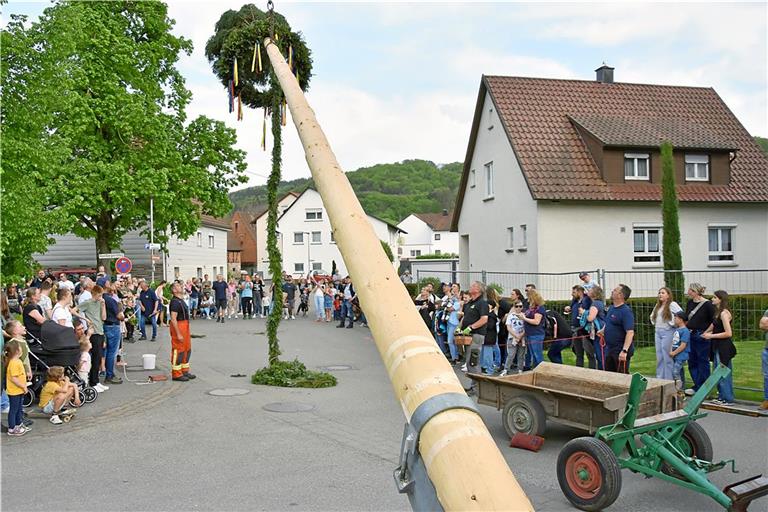 Der Baum in Däfern ist 25 Meter hoch. Foto: Tobias Sellmaier