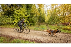 Der Belgische Schäferhund Berry zieht seine Besitzerin Kristina Schumacher mit Höchstgeschwindigkeiten durch den Wald. Fotos: Alexander Becher