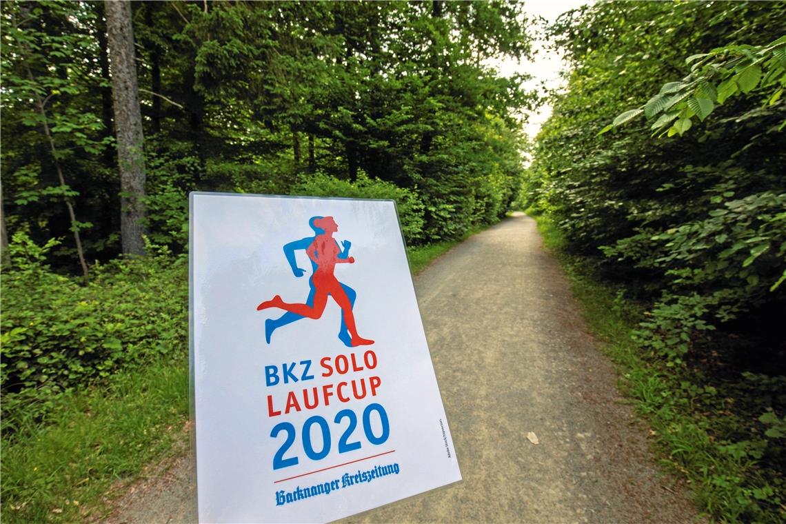 90 Teilnehmer mit 885 Kilometern Der BKZ-Sololauf-Cup geht noch bis zum 29. Juli. Foto: A. Becher