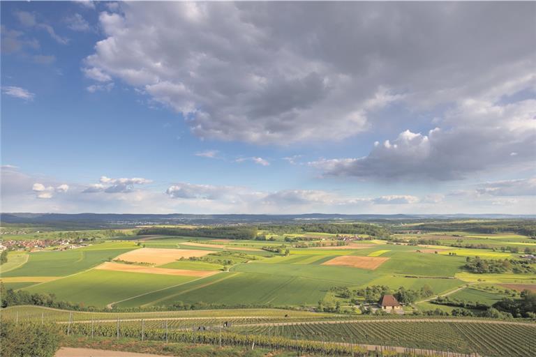 Der Blick vom Föhrenberg hinunter offenbart das Problem: Zwar sieht man viel „grün“ und viel Landschaft, doch es sind hauptsächlich Anbauflächen für Mais und Getreide, nur vereinzelt Wiesen und somit auch kaum noch Lebensraum fürs Insekten. Fotos: A. Becher