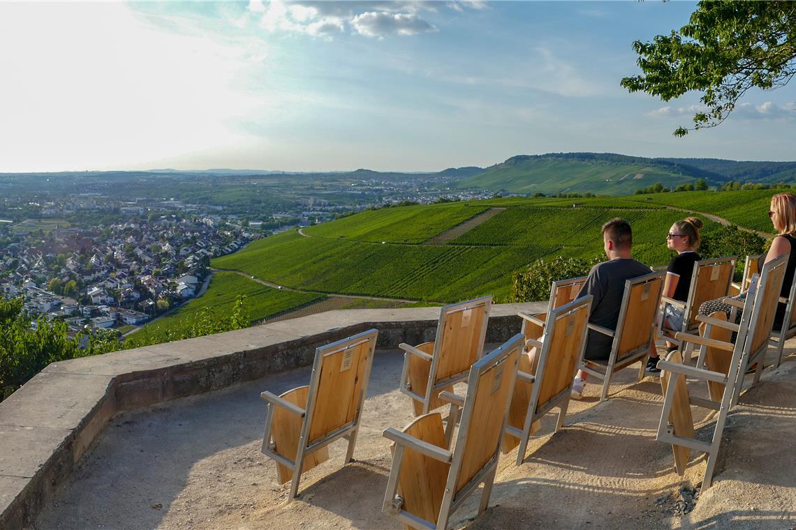 Der Blick vom Remstalkino reicht über das Untere Remstal zwischen den Hängen des Schurwalds und des Schwäbischen Walds. Foto: Jochen Beglau