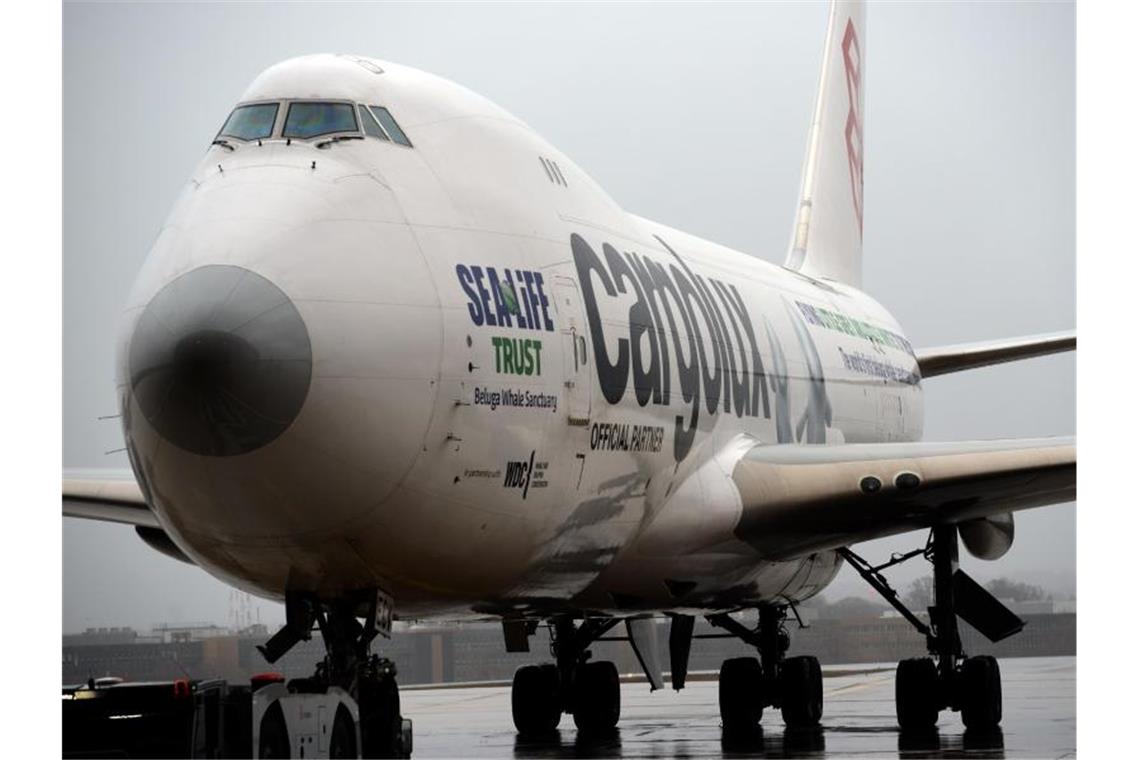 Blinder Passagier überlebt mehrstündigen Flug Der blinde Passagier versteckte sich im vorderen Fahrwerksbereich des Frachtflugzeuges. Foto: Harald Tittel/dpa/Symbolbild