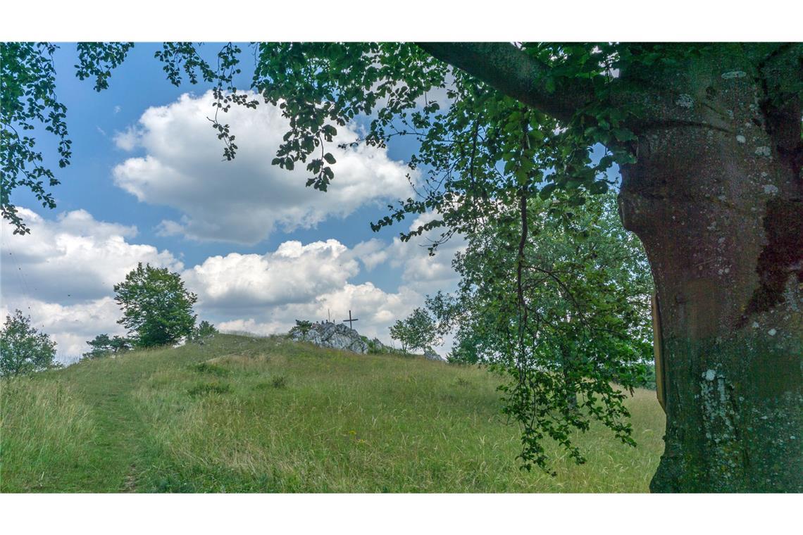 Der Bockberg kurz nach Harburg ist der erste Gipfel, auf den der Läufer oder Wanderer stolz sein darf.