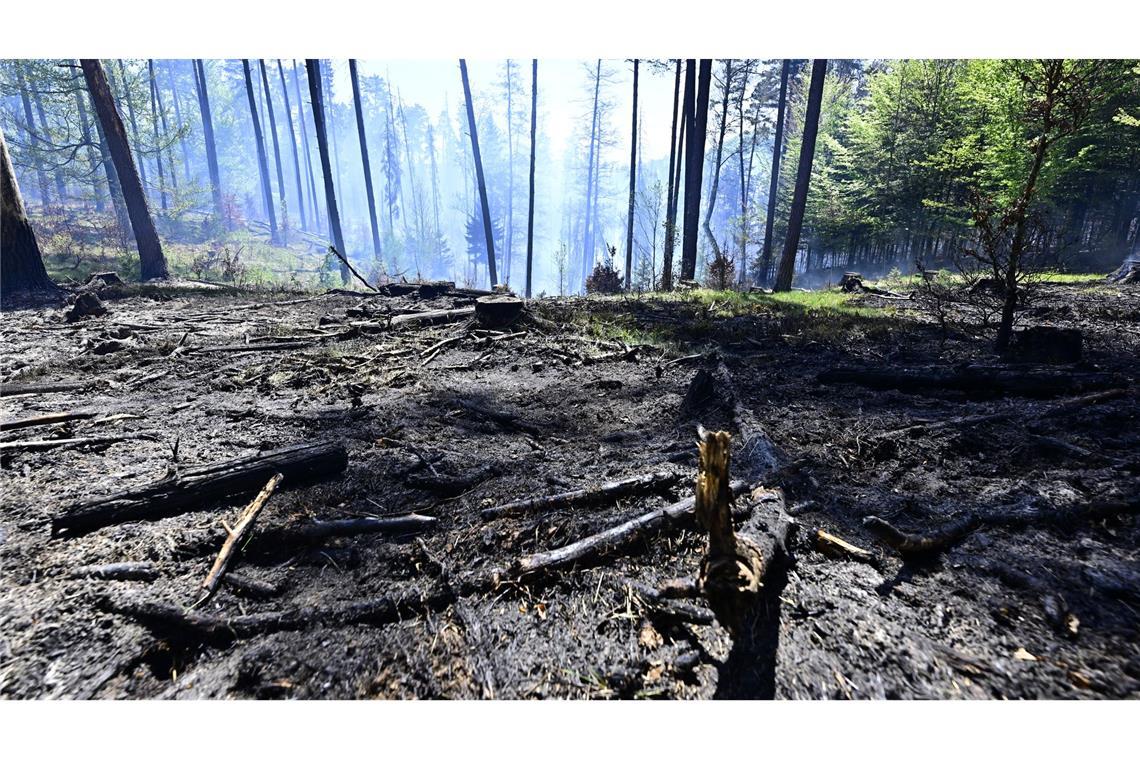 Der Brand im Nationalpark Böhmische Schweiz ist nicht unter Kontrolle.