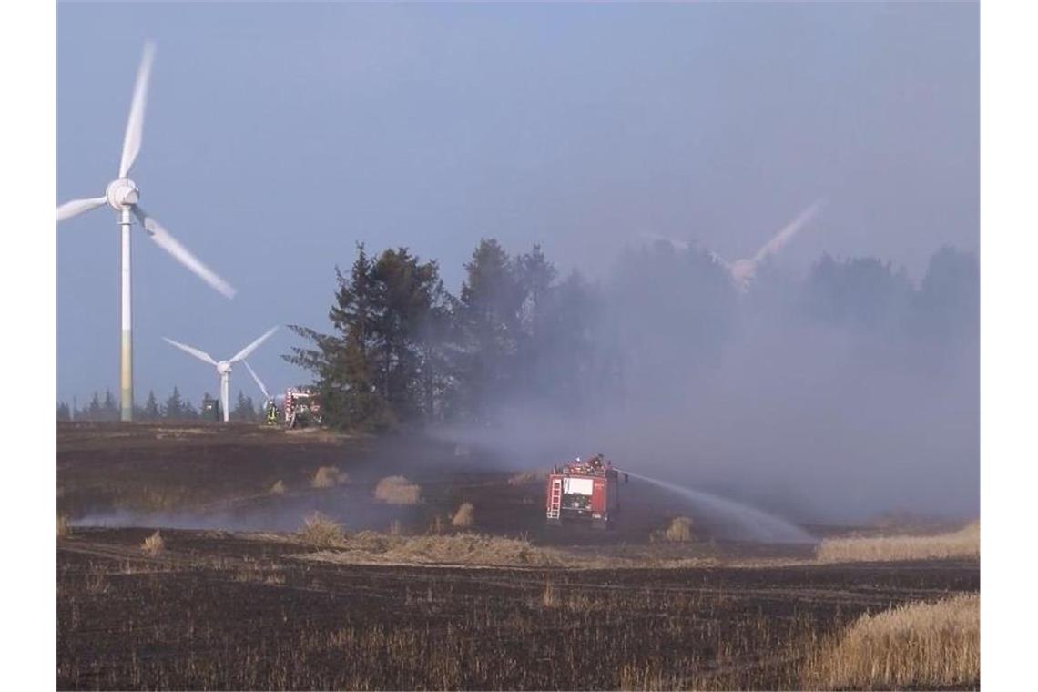 Der Brand war am späten Samstagnachmittag auf einem Getreidefeld in der Nähe des Campingplatzes am Kransburger See ausgebrochen. Foto: TNN