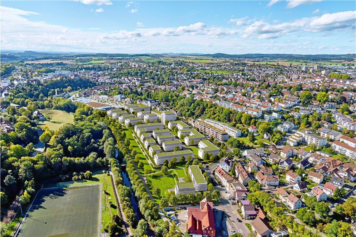 Der breite Grünstreifen zwischen der Murr und der Neubebauung wird vom Gesetzgeber verlangt und soll den Eingriff in die Natur ausgleichen. Zudem gebaut werden noch zwischen der Eugen-Adolff-Straße und der Murr eine Heizzentrale und eine Skateranlage. Visualisierung: Dibag