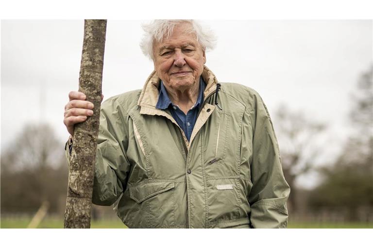 Der britische Naturforscher und Dokumentarfilmer David Attenborough feiert seinen 100. Geburtstag. (Archivbild)