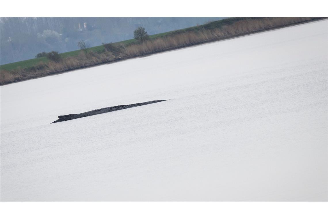 Der Buckelwal liegt weiterhin vor der Insel Poel, am Donnerstag startet ein weiterer Rettungsversuch.