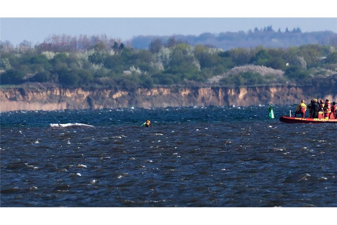 Der Buckelwal liegt wieder vor der Insel Poel.