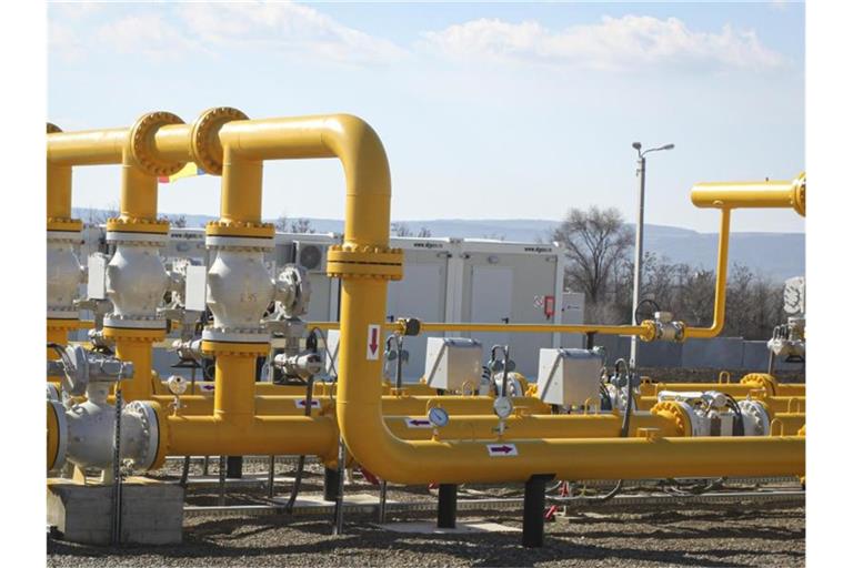 Der Bundesverband der Energie- und Wasserwirtschaft ist sich sicher: „In diesem Winter wird jeder Gaskunde eine warme Wohnung haben.“. Foto: Aurel Obreja/AP/dpa