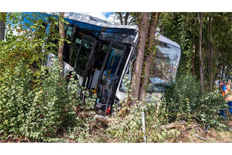 Der Bus kam nach dem Unfall erst im Gebüsch an einer steilen Böschung zum Stehen.
